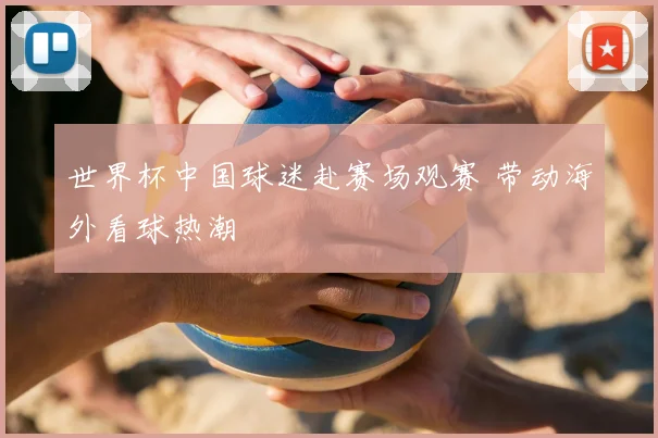 世界杯中国球迷赴赛场观赛 带动海外看球热潮