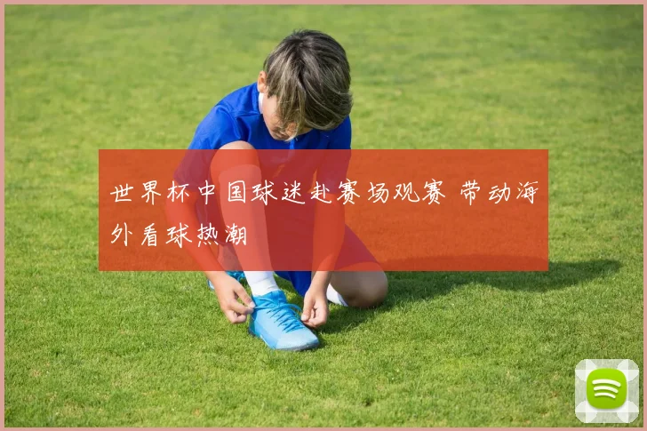 世界杯中国球迷赴赛场观赛 带动海外看球热潮